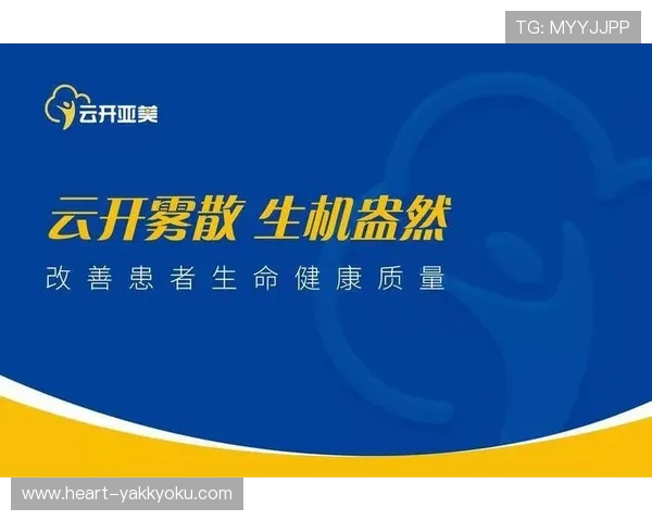 开云下载软件功能介绍,全面提升你的使用效率与体验