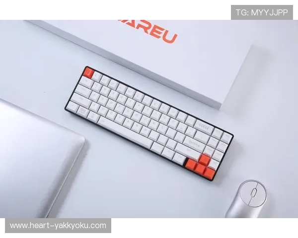 开云体育在线网站多平台同步登录,支持手机、平板和电脑多设备无缝切换